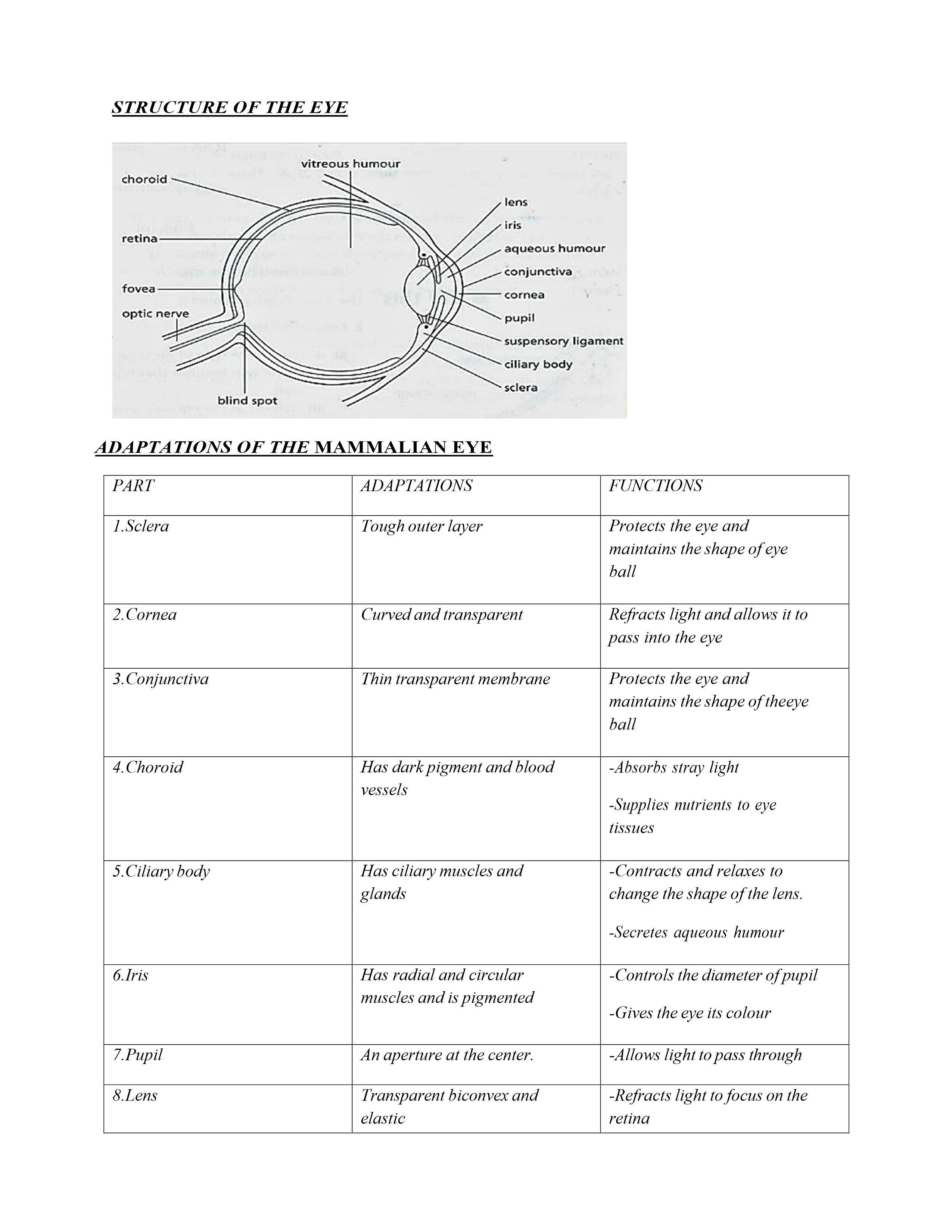 No preview available